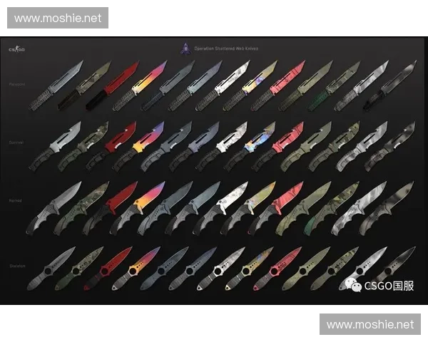 《CSGO上海赛事热潮再起 聚焦电竞文化与城市发展融合新机遇》